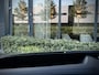Audi A6 Avant e-tron S Edition 83 kWh Black/ Massage/ Softclose