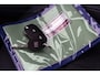 Fiat Grande Panda 1.2 Hybrid ICON | Automaat | Carplay | Style Pack