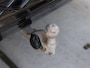 Volkswagen Tiguan 1.5 eHybrid R-Line Business 272PK DSG | Led matrix | Lederen bekleding | Camera | Trekhaak | Black style | Keyless | Dyn audio