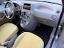 Fiat Panda 1.2 Dynamic | Elekt. Ramen | Radio / CD | Stuurbekrachtiging | APK tot 27-03-2027!