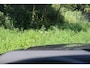 Land Rover Range Rover Sport 3.0 P510e First Edition