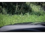 Land Rover Range Rover Sport P510e Autobiography BTW, Massage, Pano, Meridian, 23 inch carbon