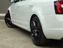 Skoda Octavia Combi 2.0 TSI RS 245 Business * 230 PK * VRS * PANORAMADAK !!