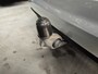 Volkswagen Touran 1.5 TSI Comfortline 7 persoons uitvoering! Lm velgen/ Trekhaak.