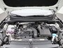 Volkswagen Tiguan 1.5 eTSI Life Edition 130PK | Automaat | Trekhaak | Stoelverwarming | Elektrische achterklep | Navigatie | Stuurverwarming | Keyless Access | Apple Carplay | LED Koplampen | Camera | Ruiten getint | Parkeersensoren |