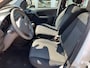 Fiat Panda 1.2 Edizione Cool|Panorama|Airco|PDC