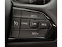 Fiat Ducato 33 2.2 MultiJet L2H2 All Weather + Betimmering