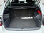Skoda Fabia Combi 1.0 TSI Business Edition | Trekhaak | Navigatie |