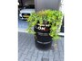 Volkswagen Tiguan 2.0 TSI Sport&Style 4Motion