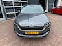 Skoda Karoq 1.5 TSI ACT Business Edition | ACC | Trekhaak | All-in prijs