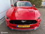 Ford Mustang 5.0 V8 Performance, 8.451km!
