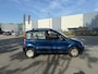 Fiat Panda 1.2 Dynamic LEUKE AUTO RIJDT EN SCHAKELT GOED