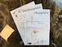 MINI Cooper Cabrio 1.6 Cooper|ZEER NETJES|LEDER|AIRCO|16INCH|