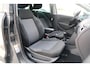 Volkswagen Polo 1.4-16V Highline STYLE Pano Airco Apple