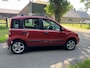 Fiat Panda 1.2 Automaat/Pano/Dynamic/Niewe APK