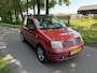 Fiat Panda 1.2 Automaat/Pano/Dynamic/Niewe APK