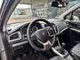 Suzuki S-Cross 1.0 Boosterjet High Executive '' Infotainmentsystem - Leer - Pan