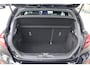 Ford Fiesta ST-LINE 5-DEURS AD-CRUISE PARK-SENSOREN PRIVACY-GLASS 16"LMV CAMERA BLISS