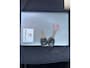 SEAT Ibiza 1.4-16V Businessline