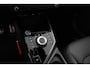 Kia Niro EV DynamicPlusLine 64.8 kWh SOH 100% Navigatie Half Leder Schuif-kantel dak Elektrische bedienbare achterklep DAB Led Camera