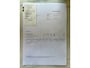 Volkswagen Polo 1.2 TSI Highline Automaat/Pano/Navi/