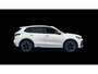 Volkswagen Tiguan 1.5 eHybrid R-Line Edition |Pano | Leder interieur | Head-up |