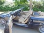 BMW 3-Serie Cabrio 320Ci Executive/CABRIOLET /LEER/