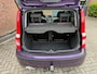 Fiat Panda 1.2 Active / bj.2010 / kleur : paars / panoramadak / trekhaak / NAP met 124302 km.en APK tot 05/2027 / zeer zuinig !!
