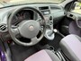 Fiat Panda 1.2 Active / bj.2010 / kleur : paars / panoramadak / trekhaak / NAP met 124302 km.en APK tot 05/2027 / zeer zuinig !!