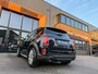 MINI Countryman Cooper S E ALL4 ALL4 aut 220pk/Loune leer/Camera/Led/Navi/Btw