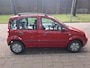 Fiat Panda 1.2 Edizione Cool