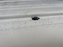 Volkswagen Transporter Kombi 2.0 TDI L1H1 BTW EN BPM VRIJ!! Airco Trekhaak 2500 kg trekgewicht Telefoonverbinding Groeps vervoer Taxi Combi Tourer Passenger