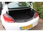 Opel Insignia 2.0 T Edition 4x4