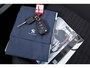 Peugeot 208 1.2 PureTech Active Pack (NAVIGATIE, CRUISE, 1e EIGENAAR, GOED ONDERHOUDEN)