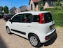 Fiat Panda 1.2 Edizione Cool