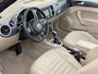 Volkswagen Beetle Cabriolet 1.4 TSI 160pk DSG 70's Edition | 18" | Xenon LED | Leder | Stoelverwarming | Fender Audio
