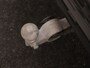Volvo XC60 T8 PLUG-IN HYBRID PLUS DARK GEVENTILEERDE STOELEN SCHUIFDAK 360G