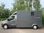 Renault Master Paardenwagen Horsetruck HENGSTEN LAGE KM