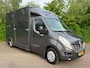 Renault Master Paardenwagen Horsetruck HENGSTEN LAGE KM