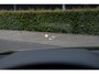 Audi Q8 55 TFSI Pano quattro Pro Line S