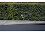 Audi Q5 50 TFSI e S edition Competition pano GREY & BLACK