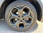 Renault Kadjar 1.3 TCe Black Edition TREKHAAK | CLIMATE CONTROL | PANORAMA DAK | 19 INCH LM | APPLE + ANDROID AUTO | CRUISE CONTROL | BOSE AUDIO |