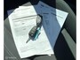 Ford C-Max 1.0 Edition Plus|125Pk|Boekjes