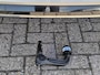 Volkswagen Touran 1.4 TSI Highline R-line, 7-Persoons, Trekhaak, Kinderzitjes!