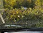 BMW 5-Serie GT Gran Turismo 550xi M-Sport|Pano|ACC|H&K|449PK