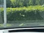 BMW X3 M40d xDrive M-Sport |Pano|HUD|327PK|Sfeerve|H&K