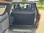 Ford EcoSport 1.0 ECOBOOST TITANIUM 125 PK 5-DRS. (HOGE INSTAP)