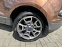 Ford EcoSport 1.0 ECOBOOST TITANIUM 125 PK 5-DRS. (HOGE INSTAP)