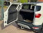 Ford EcoSport 1.0 EcoBoost Titanium S NAVI CRUISE NAP 99DKM TREKHAAK