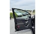 Ford Fiesta 1.0 EcoBoost Titanium |Vol Opties!|Winterpack!|